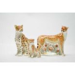 A collection of Royal Crown Derby ceramic cat paperweights.