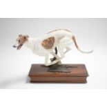 An Albany Fine China ‘Greyhound’ figure.