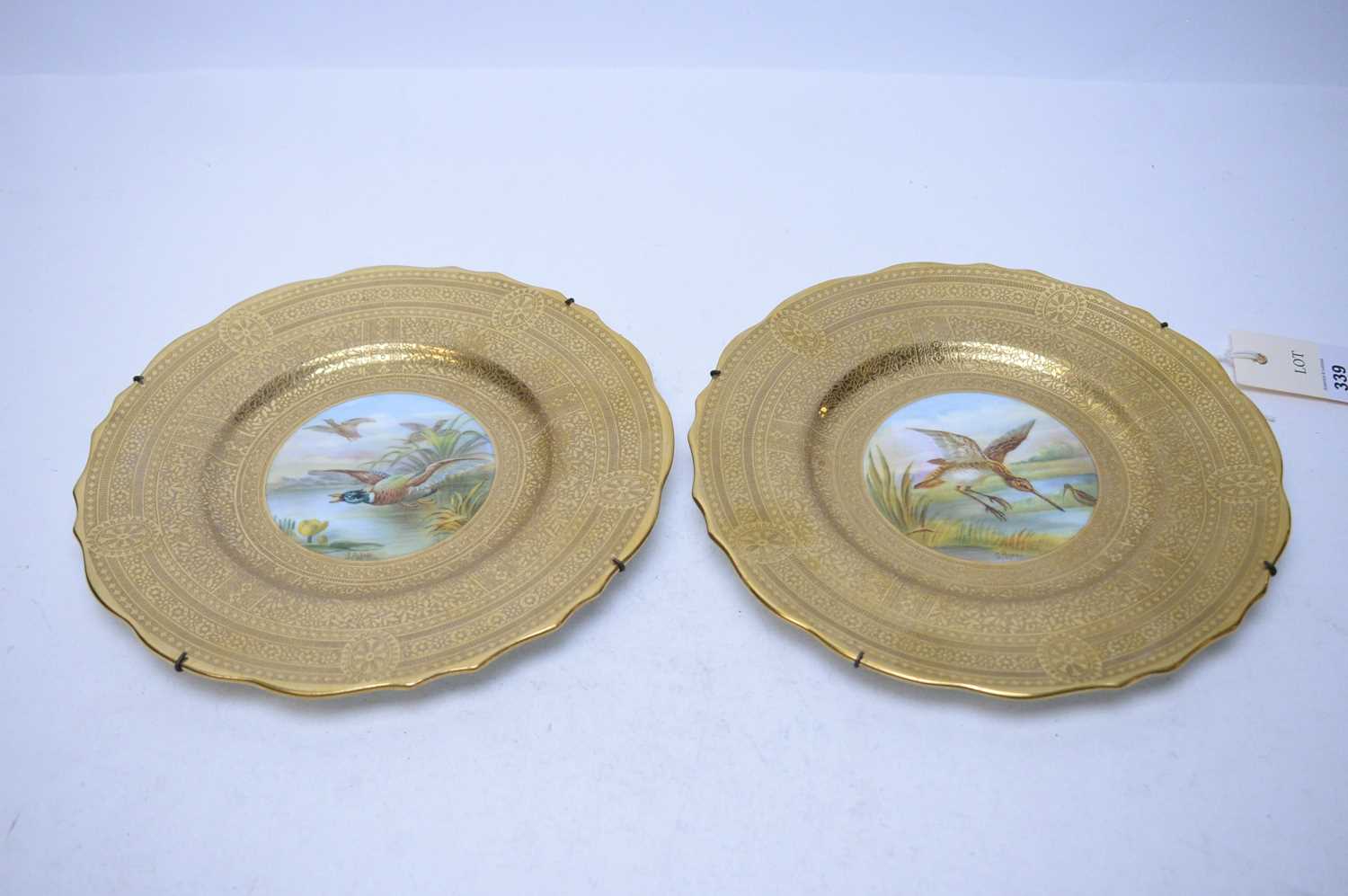 A pair of Cauldon cabinet plates, by S. Pope.