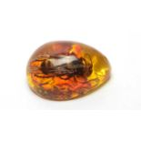 A clarified amber pendant, encapsulating a hornet,