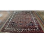 Malayer carpet,