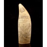 A fine 19th Century Scrimshaw sperm whale tooth,