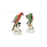 Pair of late 19th Century Continental porcelain parrots.