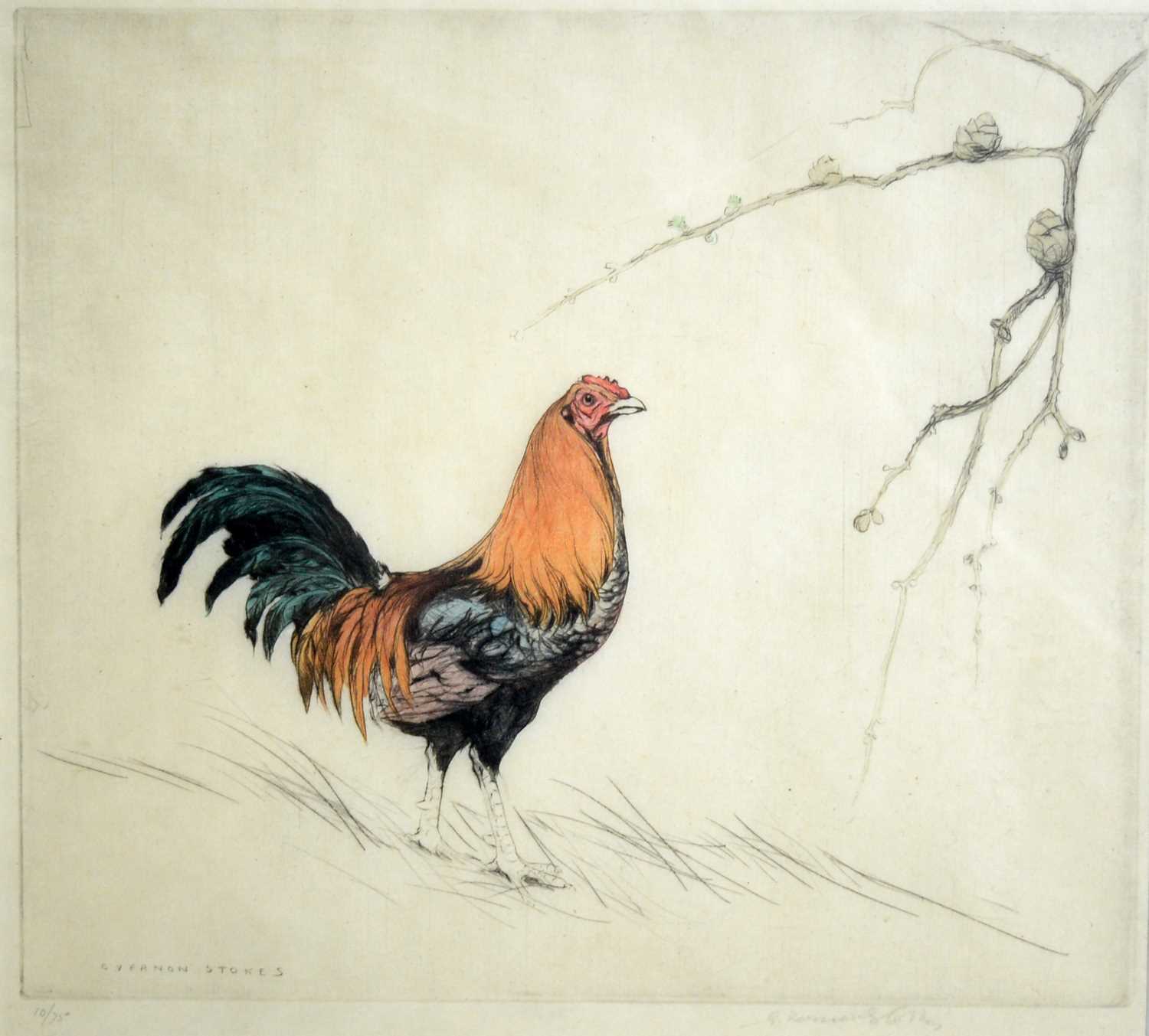 George Vernon Stokes - A Majestic Cockerel | limited-edition etching - Image 3 of 5