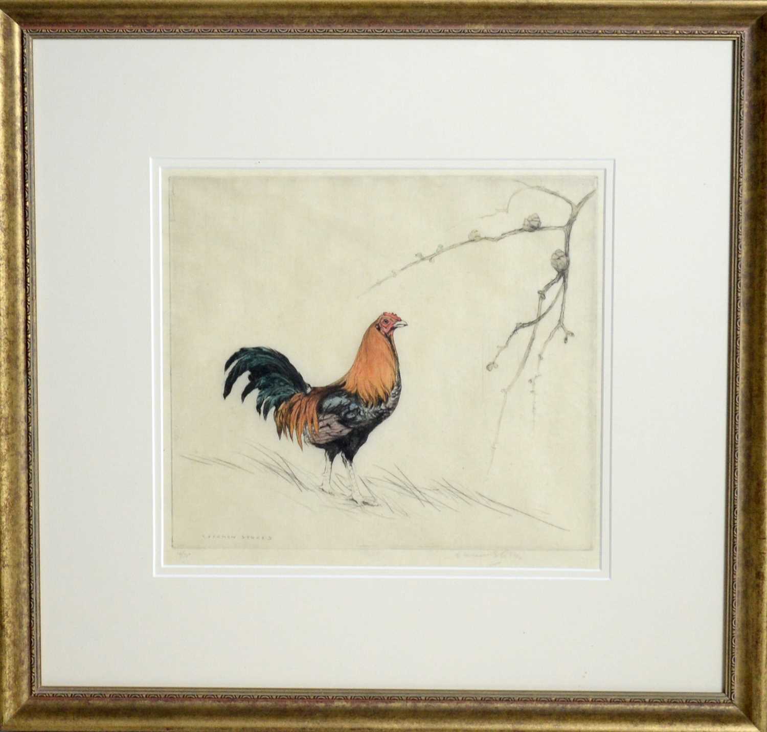 George Vernon Stokes - A Majestic Cockerel | limited-edition etching - Image 2 of 5