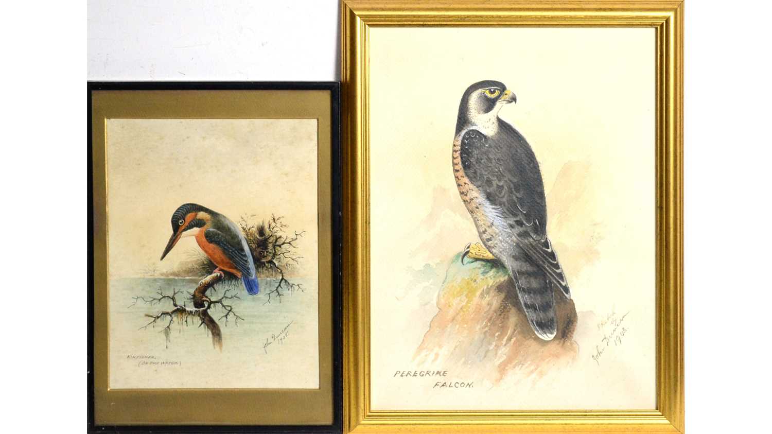 John Duncan - Peregrine Falcon, and Kingfisher on the Watch | watercolour