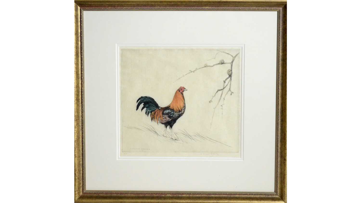 George Vernon Stokes - A Majestic Cockerel | limited-edition etching