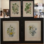 Two sets of botanical prints