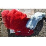 Two ostrich feather fans