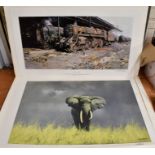 After David Shepherd - Four unframed limited edition prints