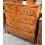 A 19th century mahogany bowfront chest of two short over three long drawers