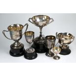 Six various trophy cups