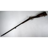 An antique percussion-action double-barrelled ratting or 'Garden' shotgun