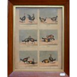 After Alken - six miniature coloured cockfighting prints