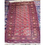 An old Turkoman red ground rug