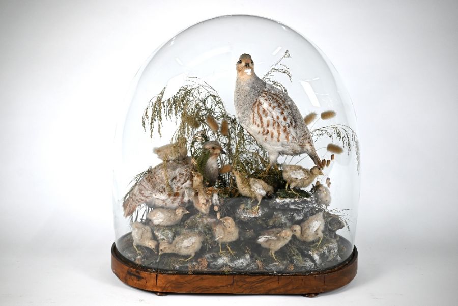 A Victorian taxidermy group - Image 2 of 5