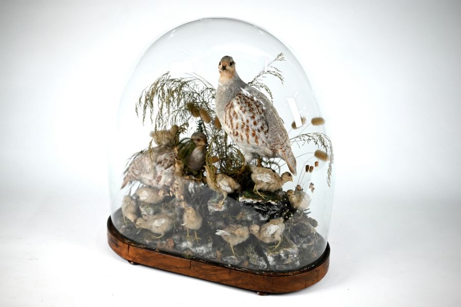 A Victorian taxidermy group