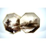 A pair of Victorian Copeland pottery octagonal plates