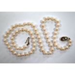 A single short row of uniform cultured pearls