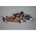 Five Royal Crown Derby paperweights