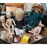 Various reproduction bisque dolls and parts