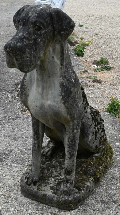 A pair of large weathered reconstituted stone Great Dane garden statues, 115 cm high - Image 4 of 5