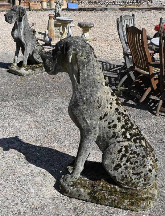 A pair of large weathered reconstituted stone Great Dane garden statues, 115 cm high - Image 2 of 5