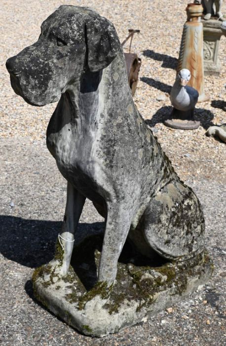 A pair of large weathered reconstituted stone Great Dane garden statues, 115 cm high - Image 3 of 5