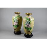 A pair of 20th century Chinese cloisonne vases, 23 cm high