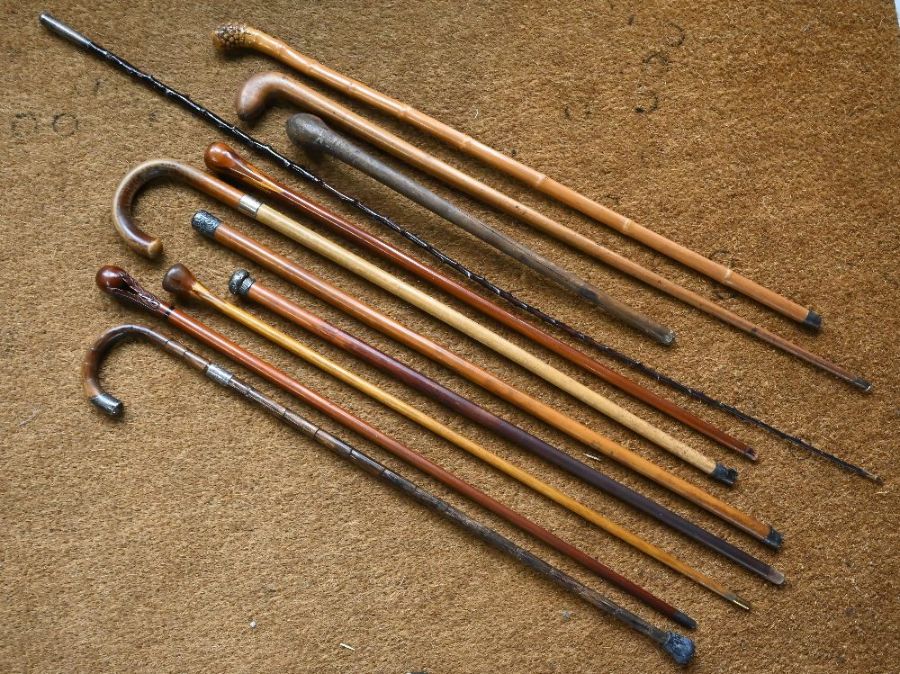 Various walking sticks