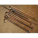 Various walking sticks