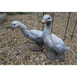 Painted reconstituted stone Goose and Gander garden figures, 55 cm high and 45 cm high