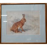 After Archibald Thorburn - print of a hare, 20 x 28 cm to/w a watercolour of a field in France,