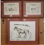 Three prints after Cecil Aldin relating to fox and hounds to/w 'A Costume Piece' and 'Caveat