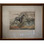 After Henry Wilkinson - Dobermen on point, coloured etching ltd ed 1/150, pencil signed to margin,