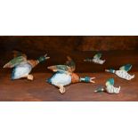 Two large Beswick 'Flying Duck' wall ornaments, no 5960, 30 x 30 cm to/w a smaller graduated set