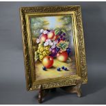Clermont Fine China (Malvern) rectangular plaque, painted with still life of fruit by John F