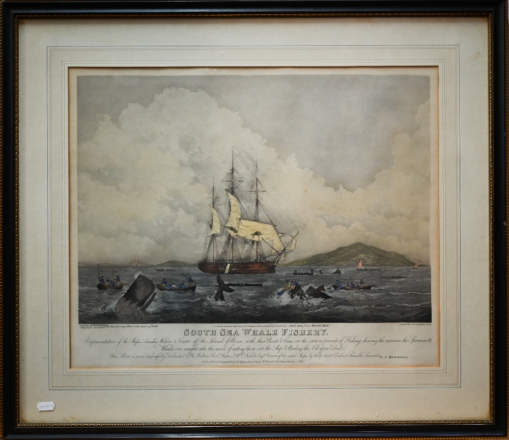 Ackermann prints - 'The View of Her Majesty's Steam Frigate Cyclops', 46 x 63 cm; South Sea Whale - Image 10 of 16