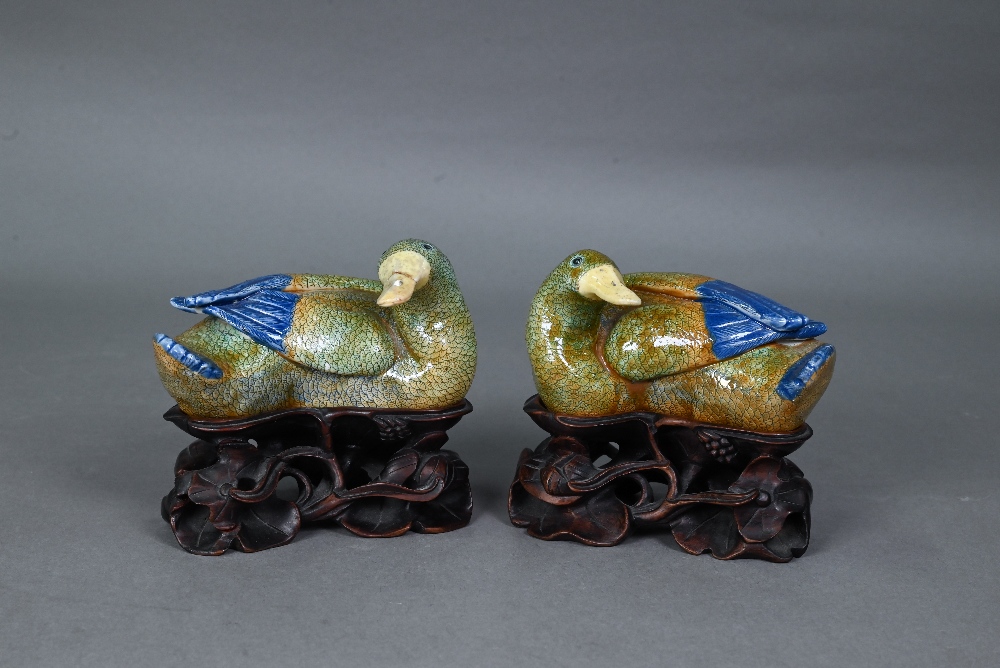 A pair of 18th century Chinese recumbent ducks, the well modelled naturalistic figures with their