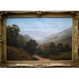 Olga Garner (b 1943) - Three oil on canvas landscapes - a pair of valley landscapes, 48 x 75 cm