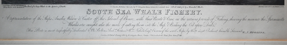 Ackermann prints - 'The View of Her Majesty's Steam Frigate Cyclops', 46 x 63 cm; South Sea Whale - Image 12 of 16