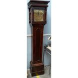 A 19th century mahogany longcase clock, with a moulded cornice above a long trunk door,