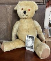 A large mid 20th century large mohair Teddy bear with jointed limbs and a copy of a photograph from