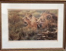 After Alan M Hunt A lion and lioness A limited edition print No.