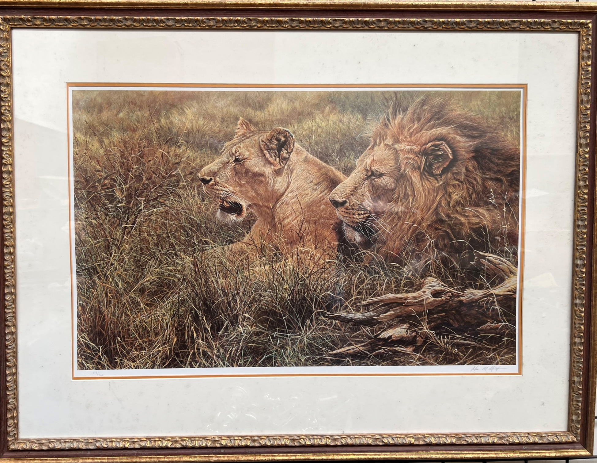 After Alan M Hunt A lion and lioness A limited edition print No.