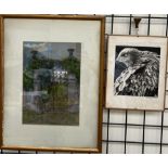 Chris G Packham Red Kite Preening A limited edition print No.