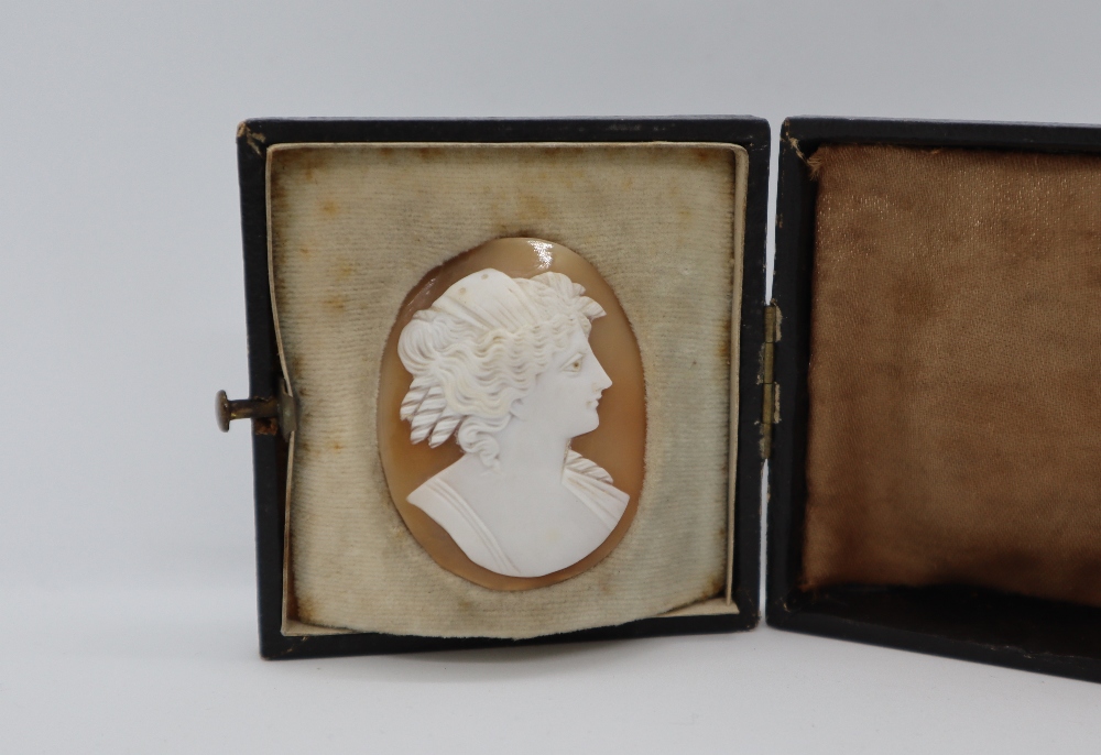 A shell cameo of a maiden in profile,