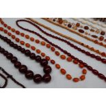 An amber necklace together with a collection of bead and seed necklaces
