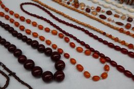 An amber necklace together with a collection of bead and seed necklaces