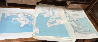 A collection of William Lewis Printers maps of Cardiff Bute Docks,